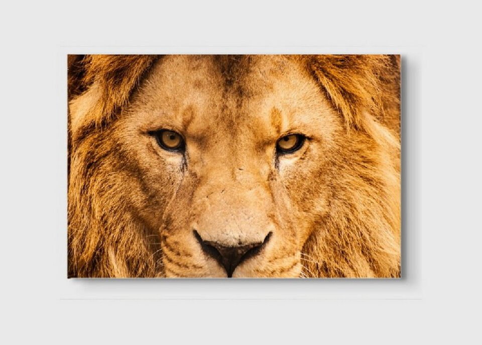 Aslan