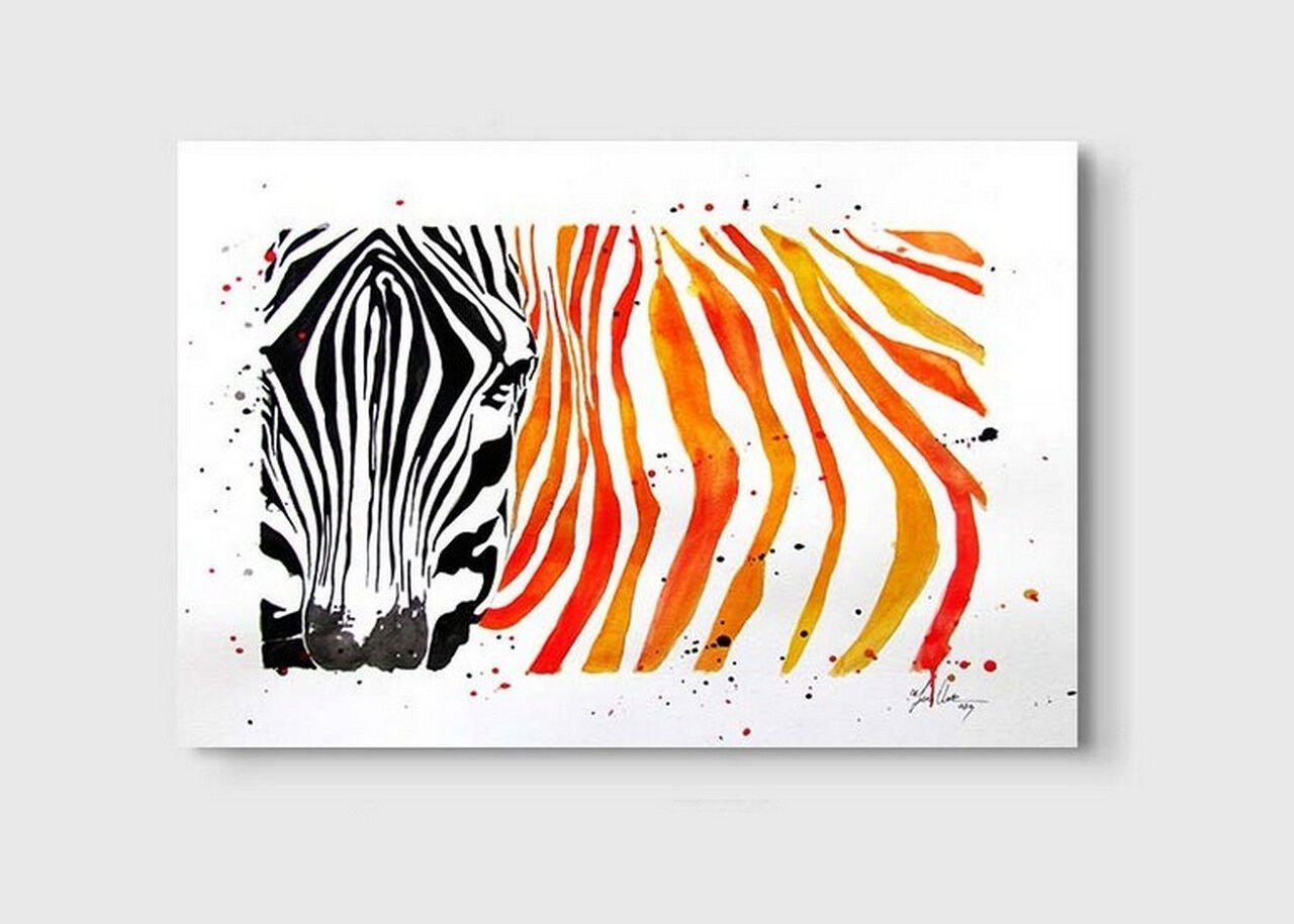 Suluboya Zebra
