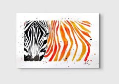 Suluboya Zebra