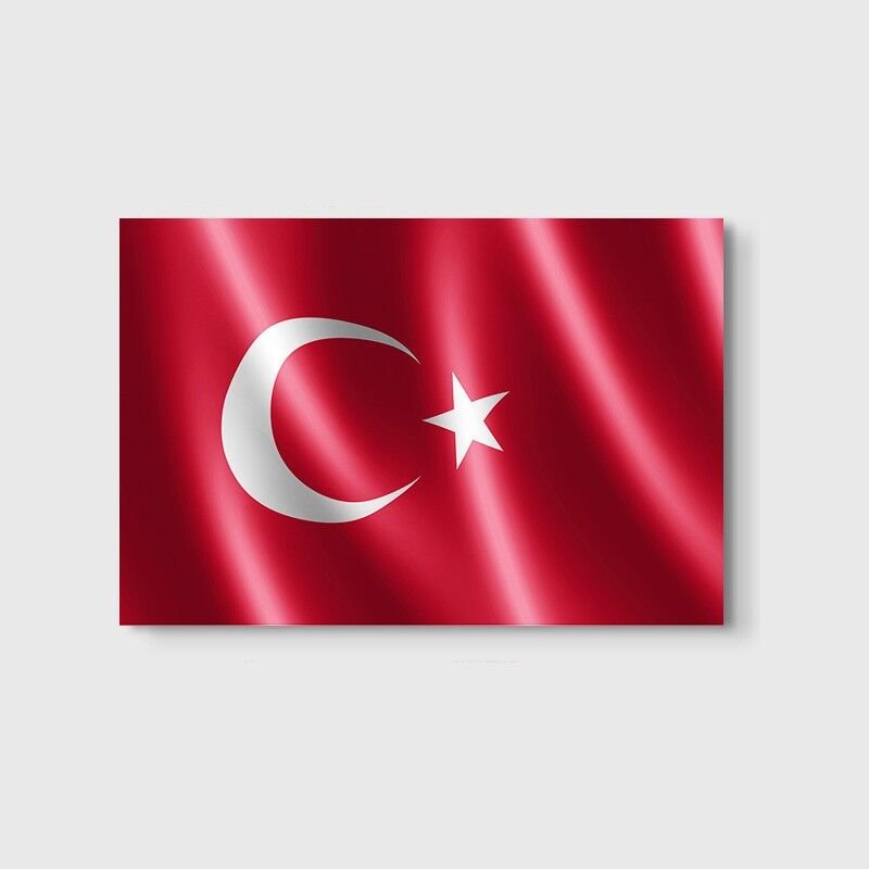 Dalgalanan Türk Bayrağı